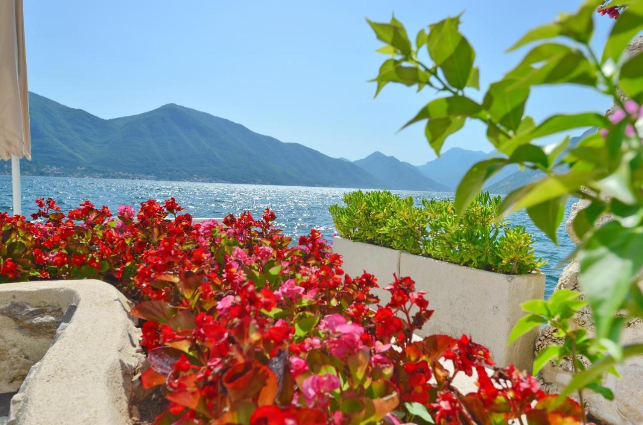Tau Mir I Dobro Apartment Kotor Exterior photo